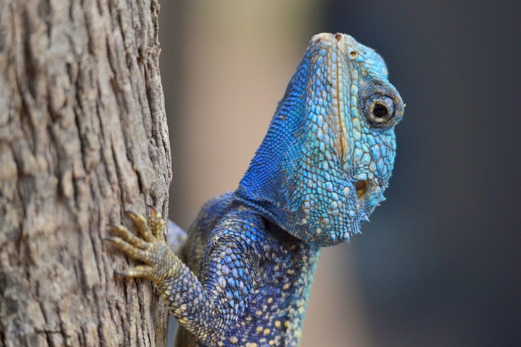 Auction expiration test run 5