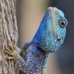 Mercedes-Benz Sprinter 123 test