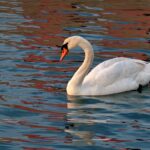 Mercedes-Benz Sprinter 123 test