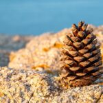 Mercedes-Benz Sprinter 123 test