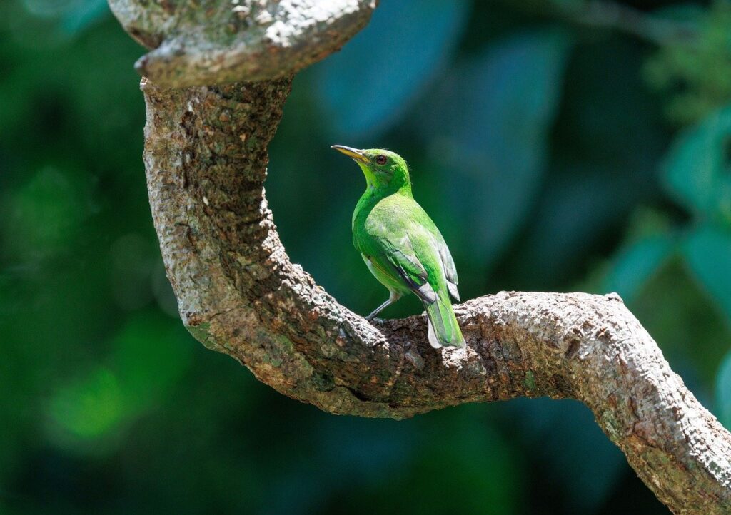 Testi huutokauppa 1 updated